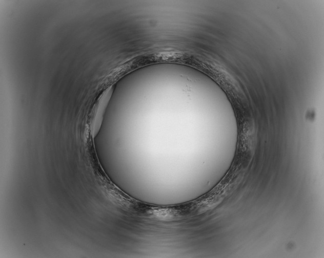 X0000097950417200804071010