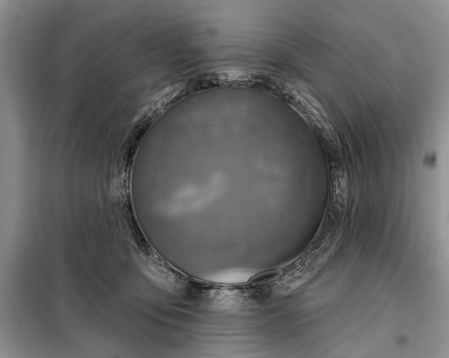 X0000097950419200804071010