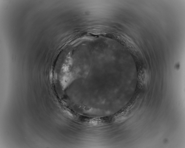 X0000097950420200804071010