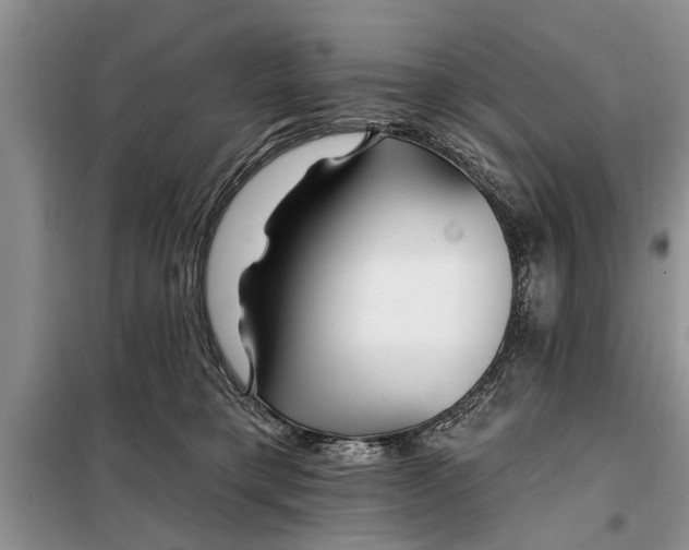 X0000097950421200804071010