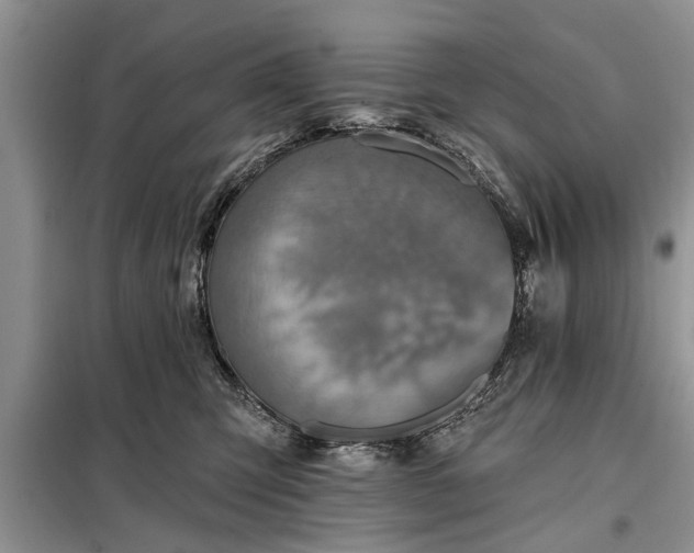X0000097950423200804071010