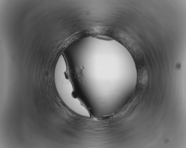 X0000097950425200804071009