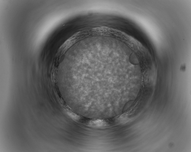 X0000097950431200804071009