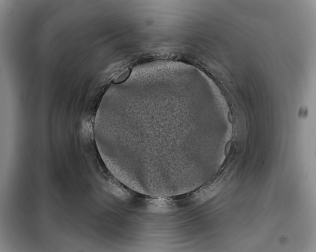 X0000097950432200804071009