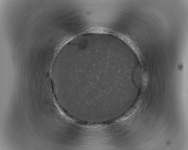 X0000097950433200804071009
