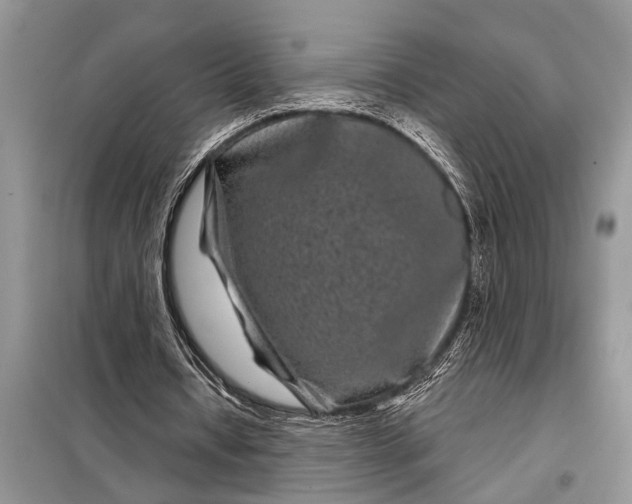 X0000097950434200804071009