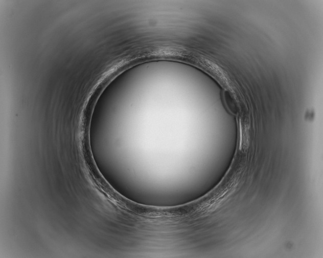 X0000097950435200804071009