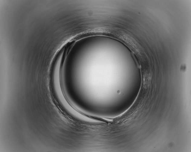 X0000097950436200804071009