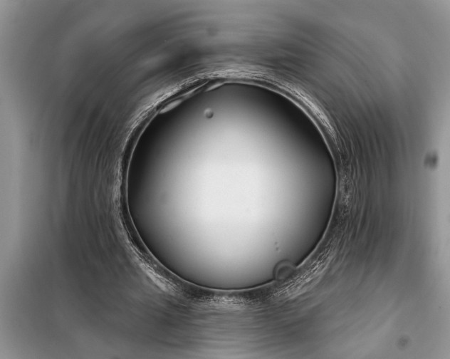 X0000097950437200804071009