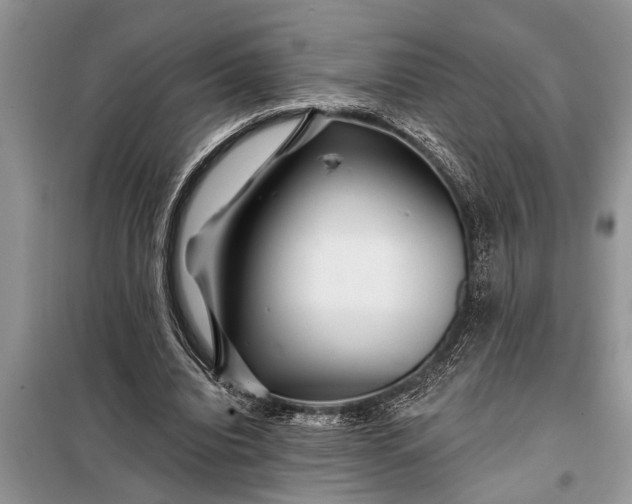 X0000097950440200804071009