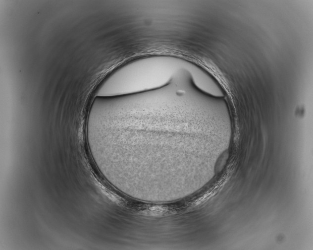 X0000097950441200804071009