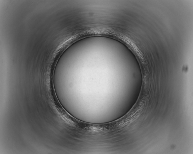 X0000097950442200804071009