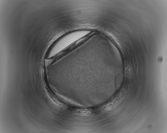 X0000097950443200804071009