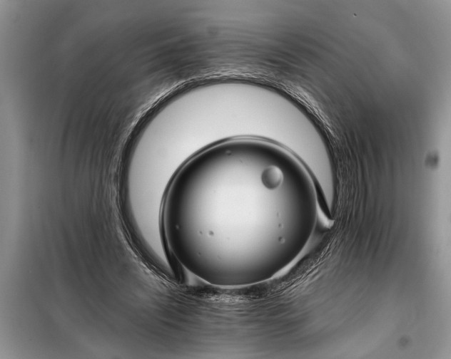 X0000097950444200804071009