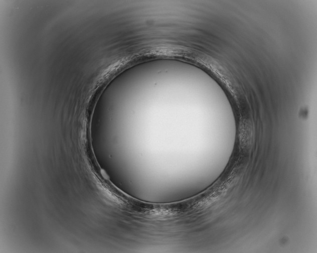 X0000097950445200804071009