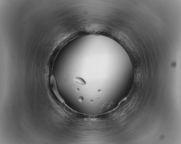 X0000097950448200804071009