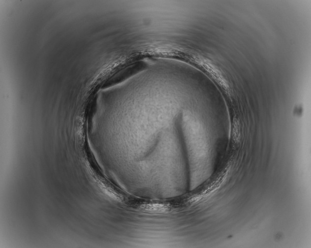 X0000097950449200804071009