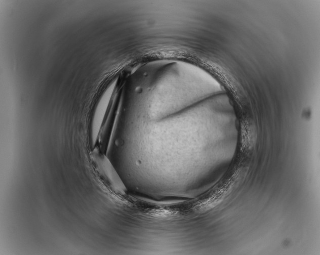 X0000097950453200804071009