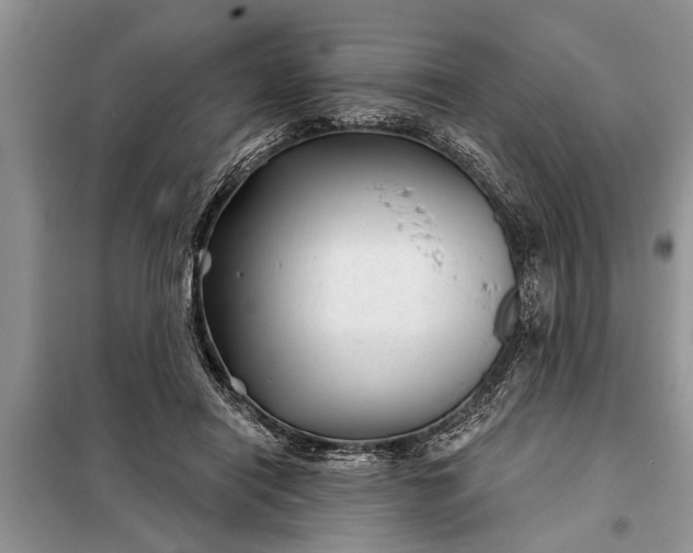 X0000097950454200804071009