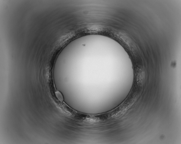 X0000097950455200804071009