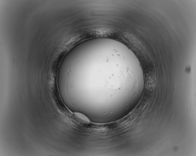 X0000097950456200804071009