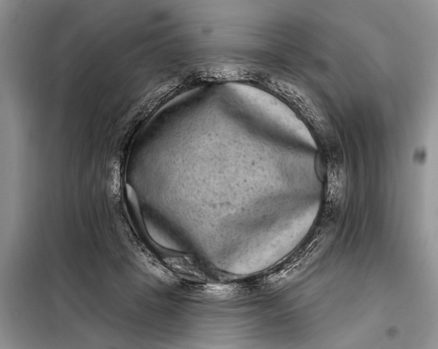 X0000097950457200804071009