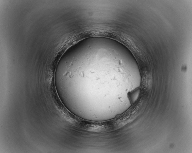 X0000097950458200804071009