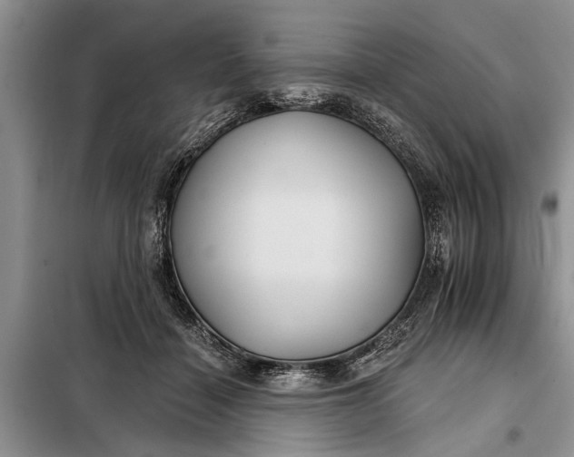 X0000097950460200804071009
