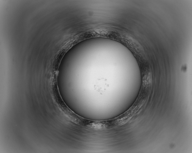 X0000097950464200804071009