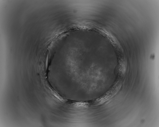 X0000097950465200804071009