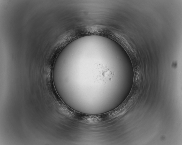 X0000097950466200804071009