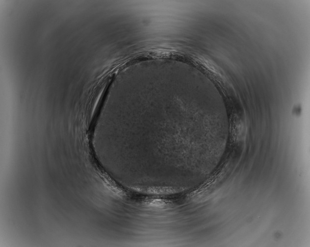 X0000097950467200804071009