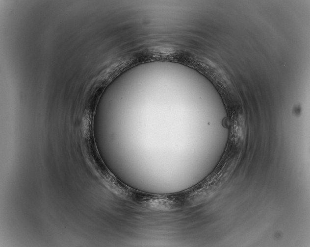 X0000097950468200804071009