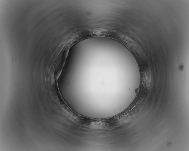 X0000097950470200804071009