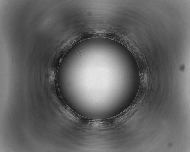 X0000097950472200804071009