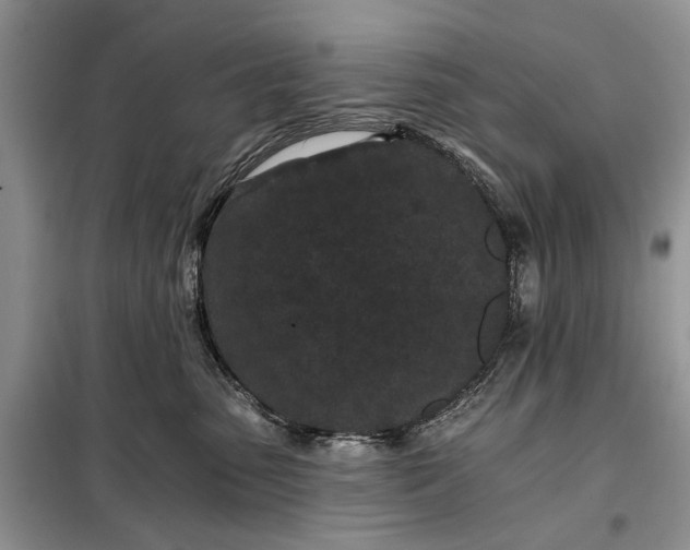 X0000097950475200804071009