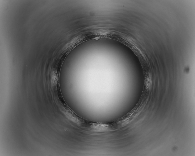 X0000097950476200804071009