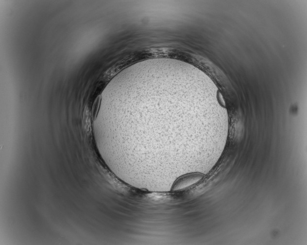 X0000097950477200804071009