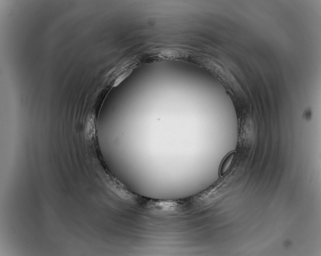 X0000097950478200804071009