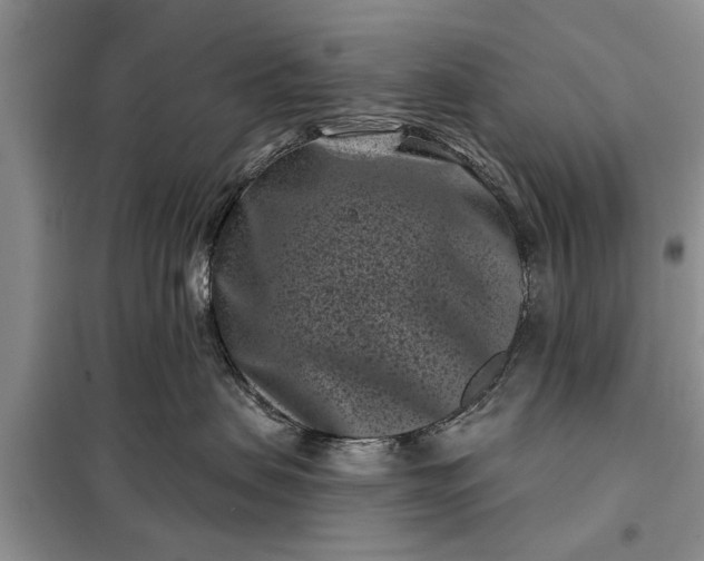 X0000097950479200804071009