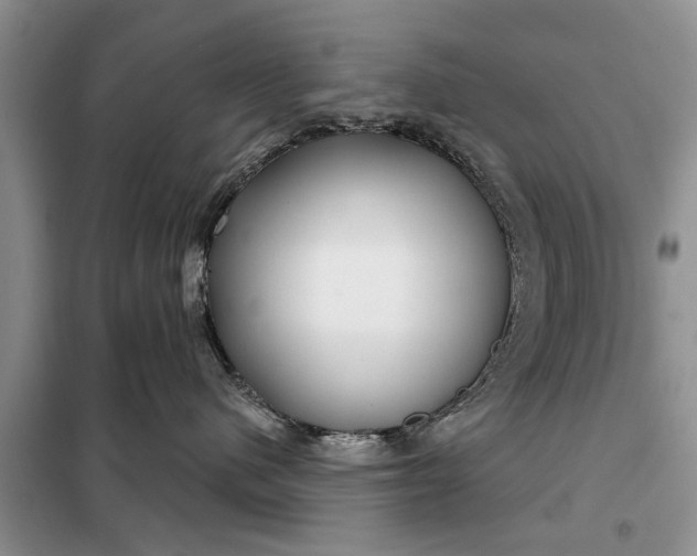 X0000097950480200804071009