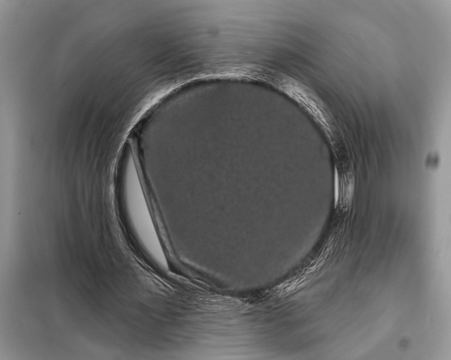 X0000097950483200804071009