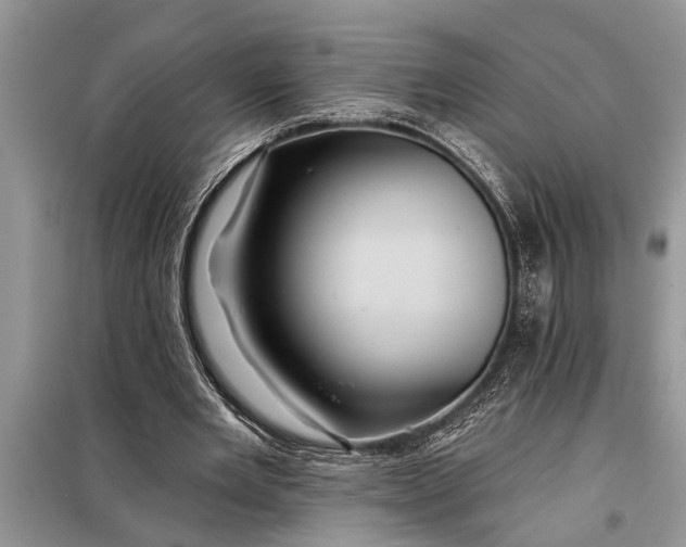 X0000097950485200804071009