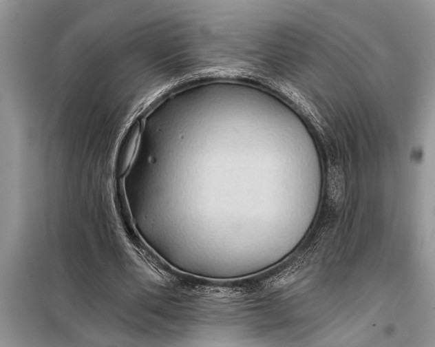 X0000097950486200804071009