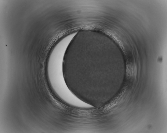 X0000097950493200804071009