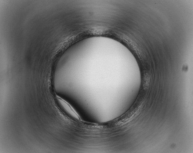 X0000097950497200804071008