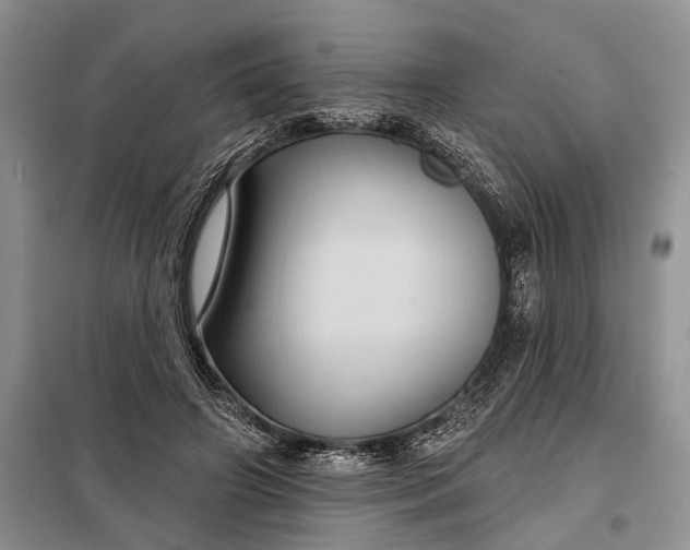 X0000097950498200804071008