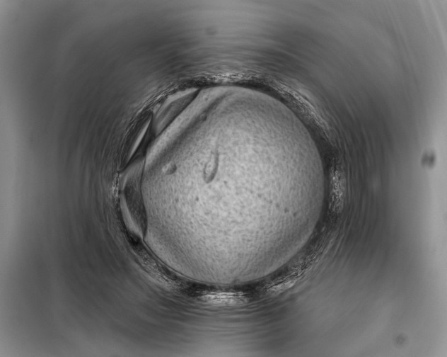 X0000097950499200804071008