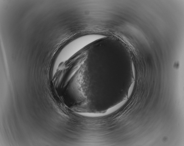 X0000097950500200804071008