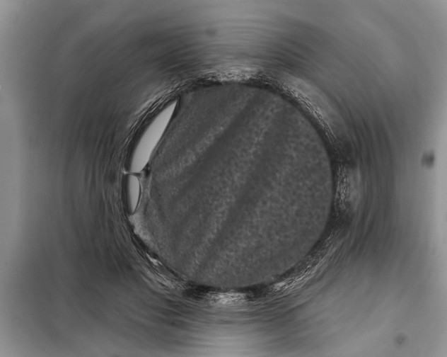 X0000097950501200804071008